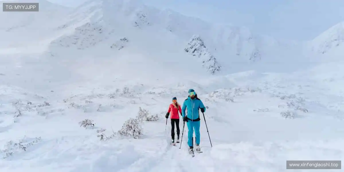 📺 实时直击,让热爱零距离!